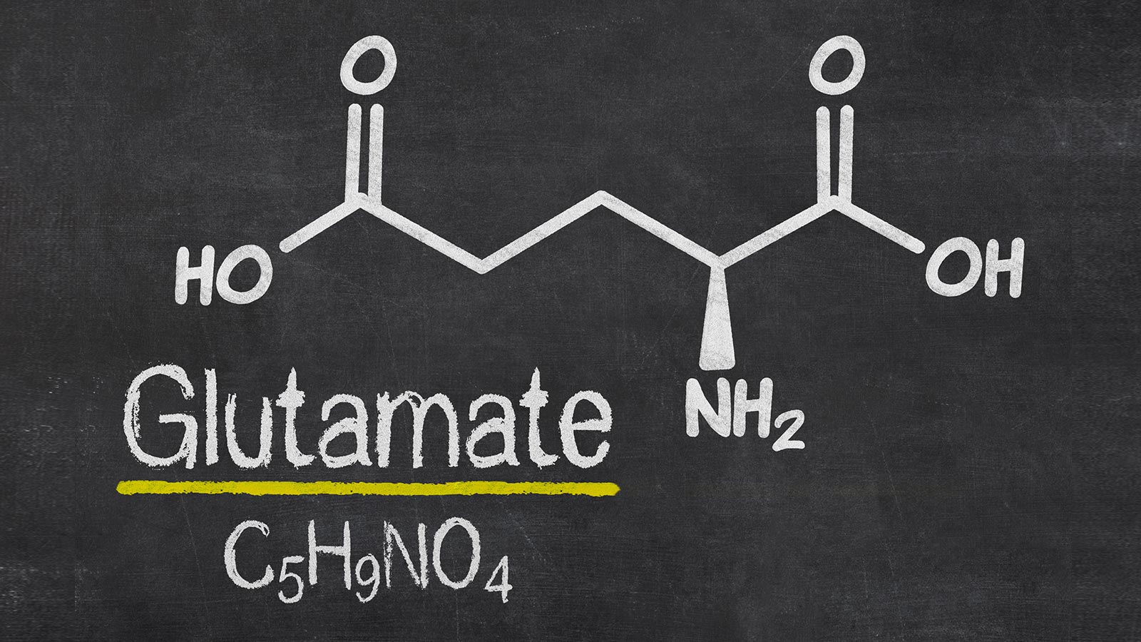 Glutamato: un aditivo a examen